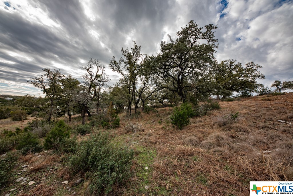 New Braunfels, Texas 78132, United States, ,Land,Active,65612