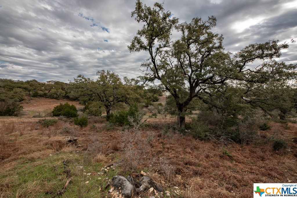 New Braunfels, Texas 78132, United States, ,Land,Active,65612