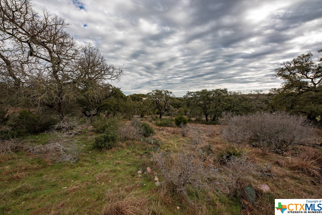 New Braunfels, Texas 78132, United States, ,Land,Active,65612