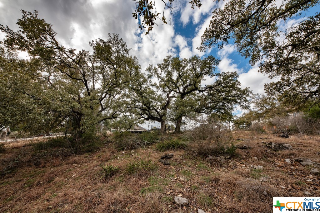 New Braunfels, Texas 78132, United States, ,Land,Active,65612