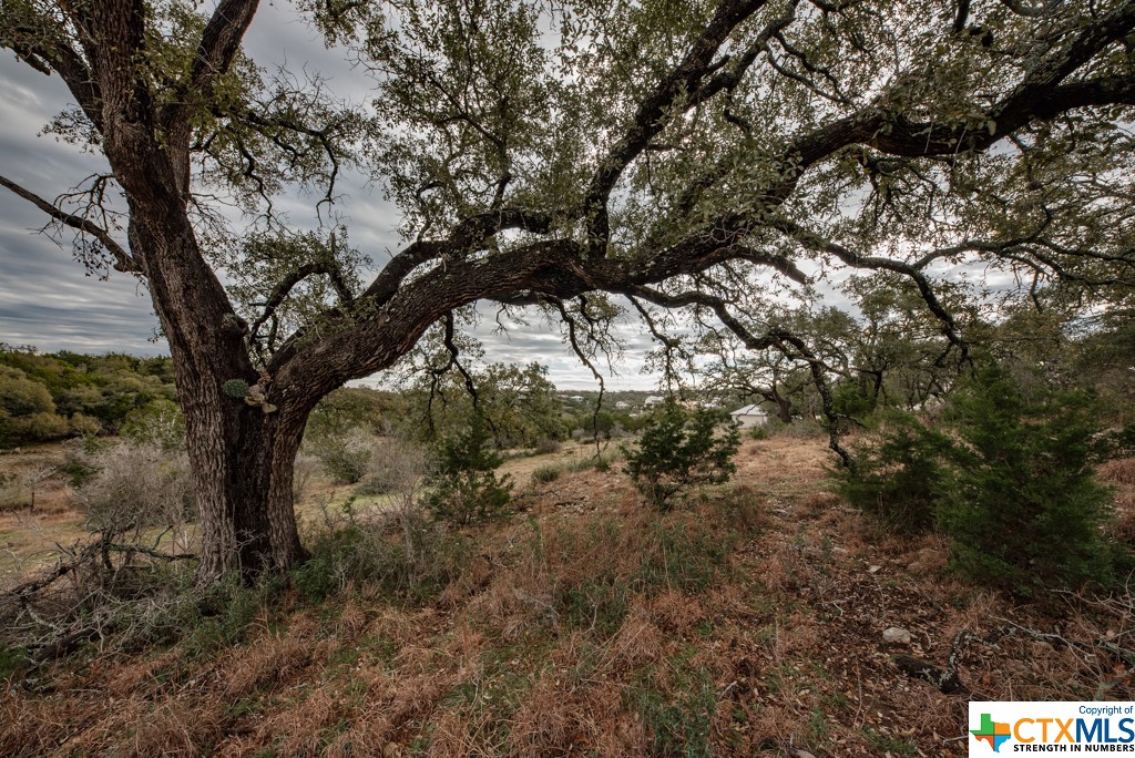 New Braunfels, Texas 78132, United States, ,Land,Active,65612