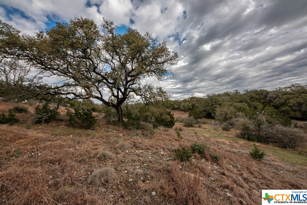 New Braunfels, Texas 78132, United States, ,Land,Active,65612