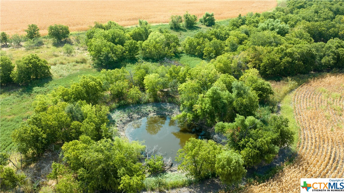 TBD County Road 418B