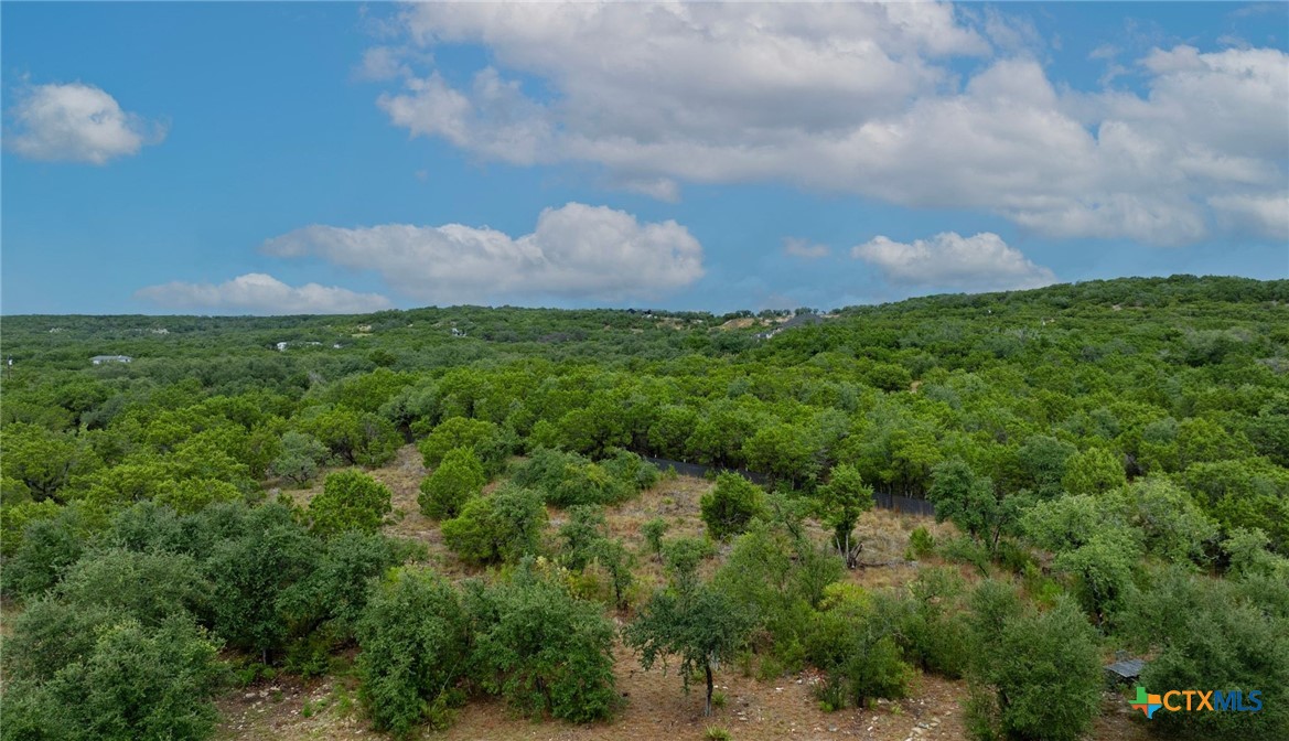 14810 Chaparral Drive