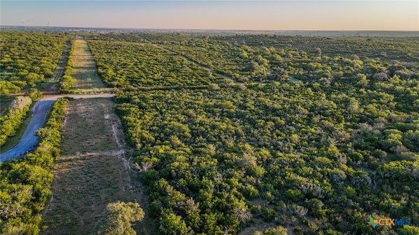 COUNTY LINE RD, KENEDY, TX 78119 - Image 0f2e7fba5a6e8dbe628be7968979c2ae/3010041371
