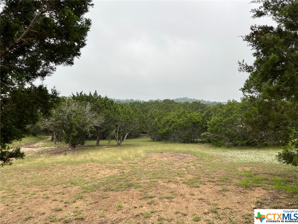 Canyon Lake, Texas 78133, United States, ,Land,Active,72910