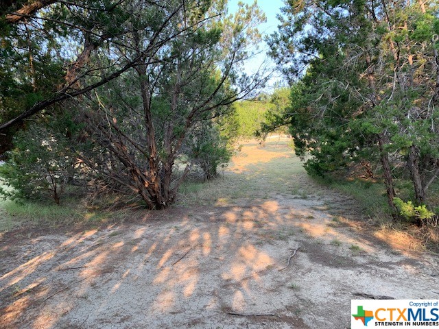 Canyon Lake, Texas 78133, United States, ,Land,Active,72910