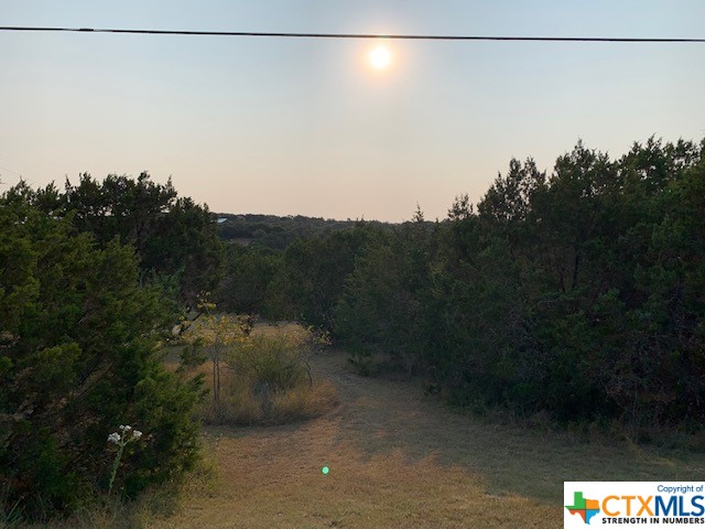 Canyon Lake, Texas 78133, United States, ,Land,Active,72910