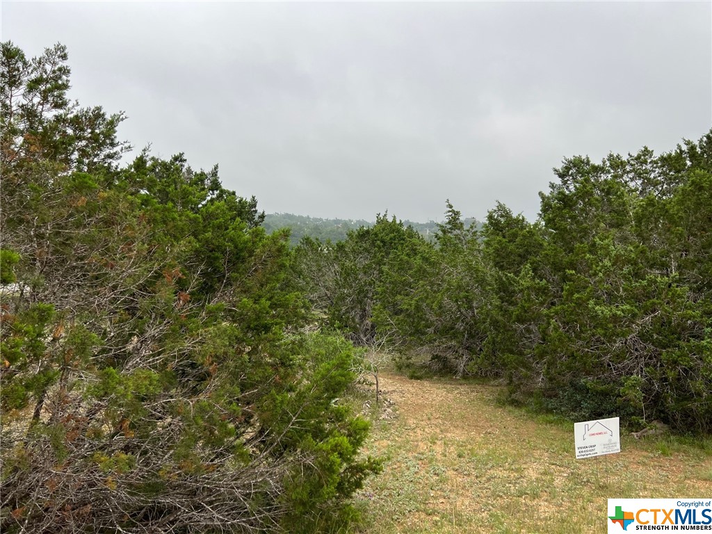 Canyon Lake, Texas 78133, United States, ,Land,Active,72910