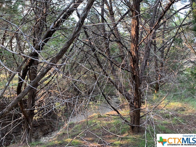 Canyon Lake, Texas 78133, United States, ,Land,Active,72910