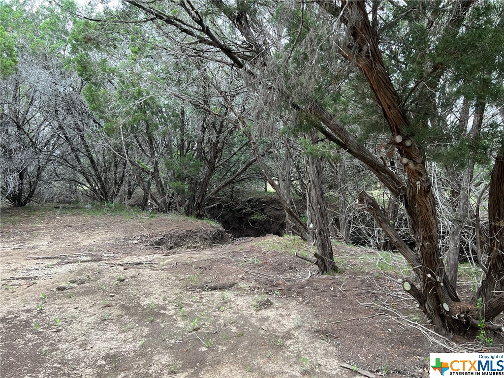 Canyon Lake, Texas 78133, United States, ,Land,Active,72910