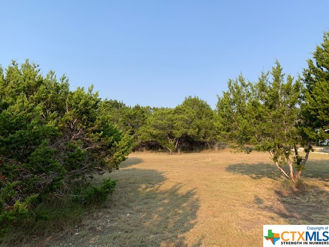 Canyon Lake, Texas 78133, United States, ,Land,Active,72910