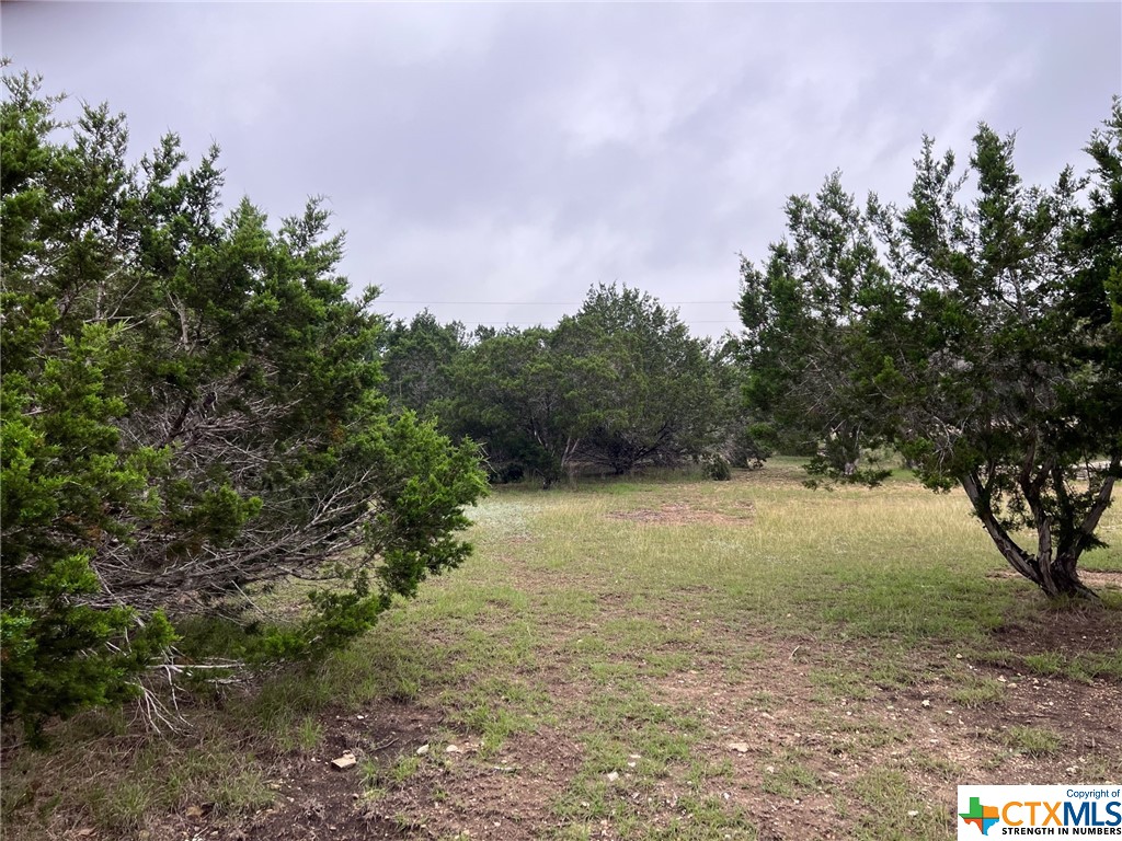 Canyon Lake, Texas 78133, United States, ,Land,Active,72910