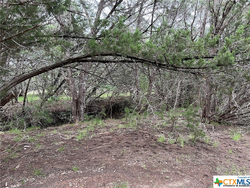 Canyon Lake, Texas 78133, United States, ,Land,Active,72910