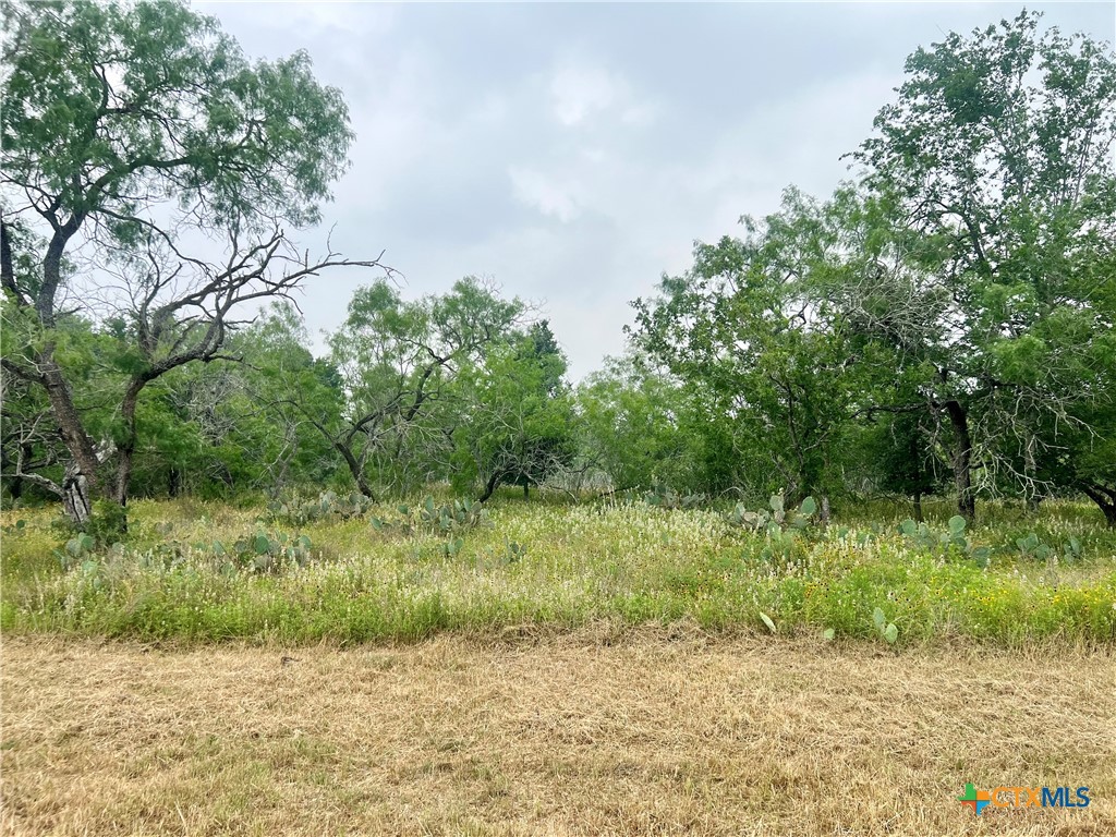 Photo 1 of 14 — Lot 11 Wisteria Lane, Smiley, TX 78159