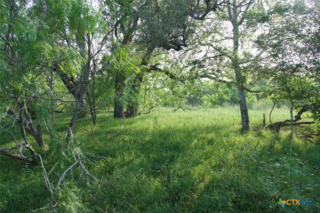 TBD Taylorsville Road
