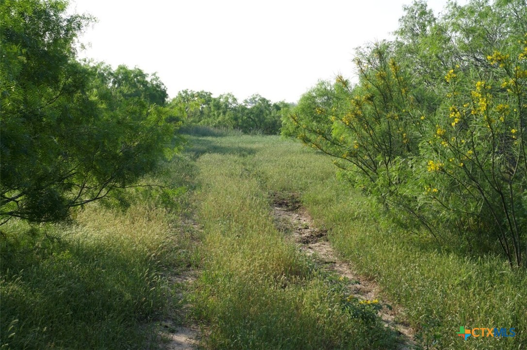 TBD Taylorsville Road
