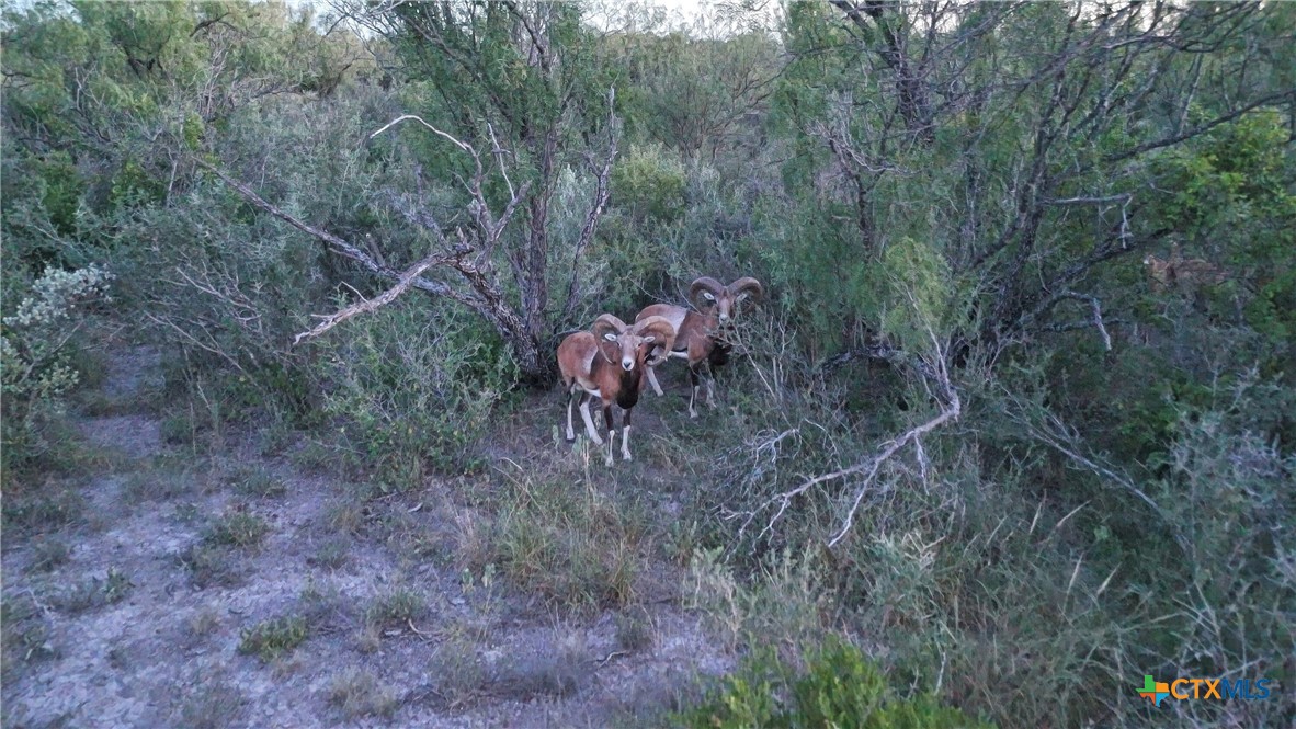 000 Ranch to Market 3008