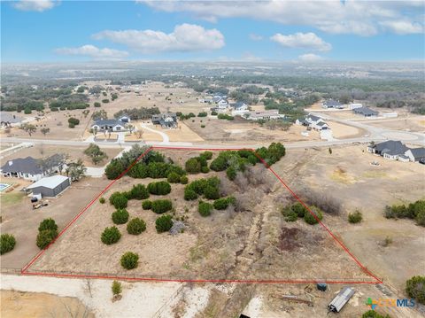 220 Lantana Bud Trail Liberty Hill TX 78642