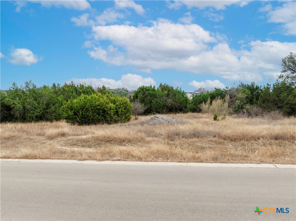 220 Lantana Bud Trail