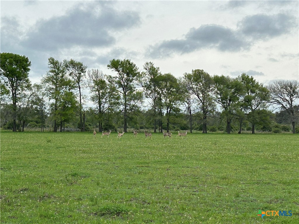 691 County Road 283