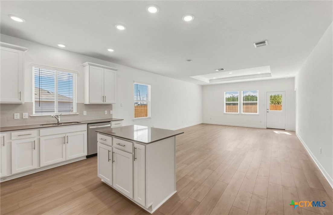 1507 Sky Vista Drive