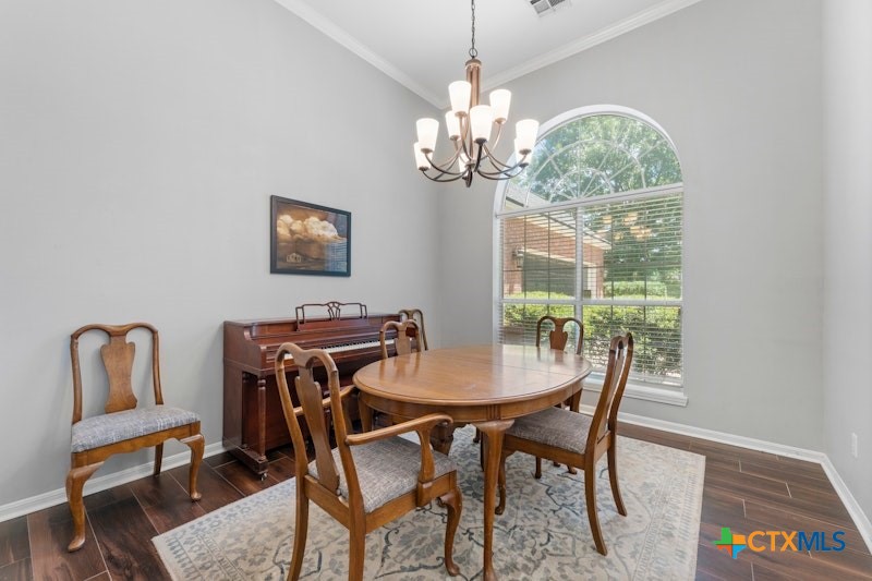 304 Cypress Springs Drive