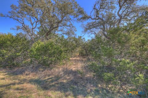 Photo of 578 Falconwood Drive, San Marcos, TX 78666 (MLS # 569169)
