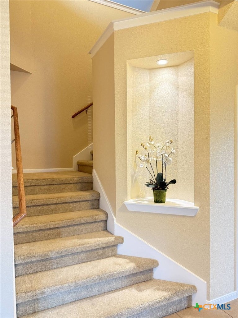 810 Red Fern Drive