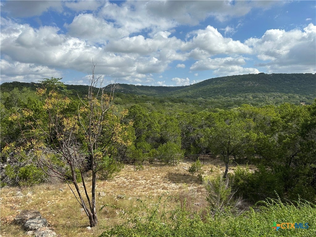 Photo of 737 Flaman Road, Canyon Lake, TX 78133 (MLS # 623215)