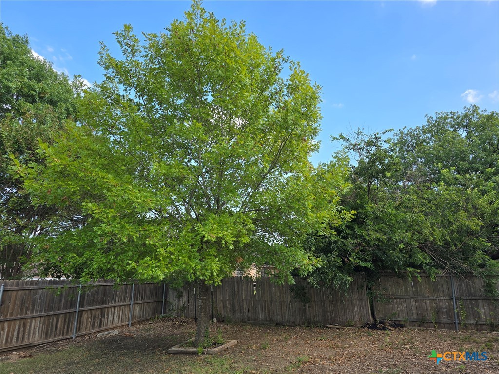 New Braunfels, Texas 78130, United States, ,Land,Pending,206570