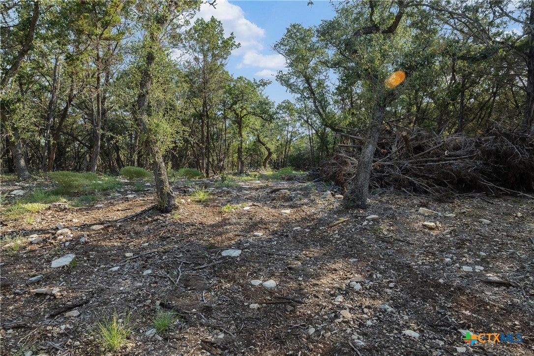 601 Mount Olive School Road