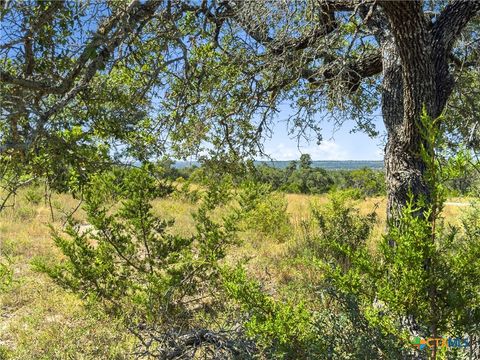 Photo of 820 Stone Ridge Mountain Drive, Round Mountain, TX 78663 (MLS # 603548)
