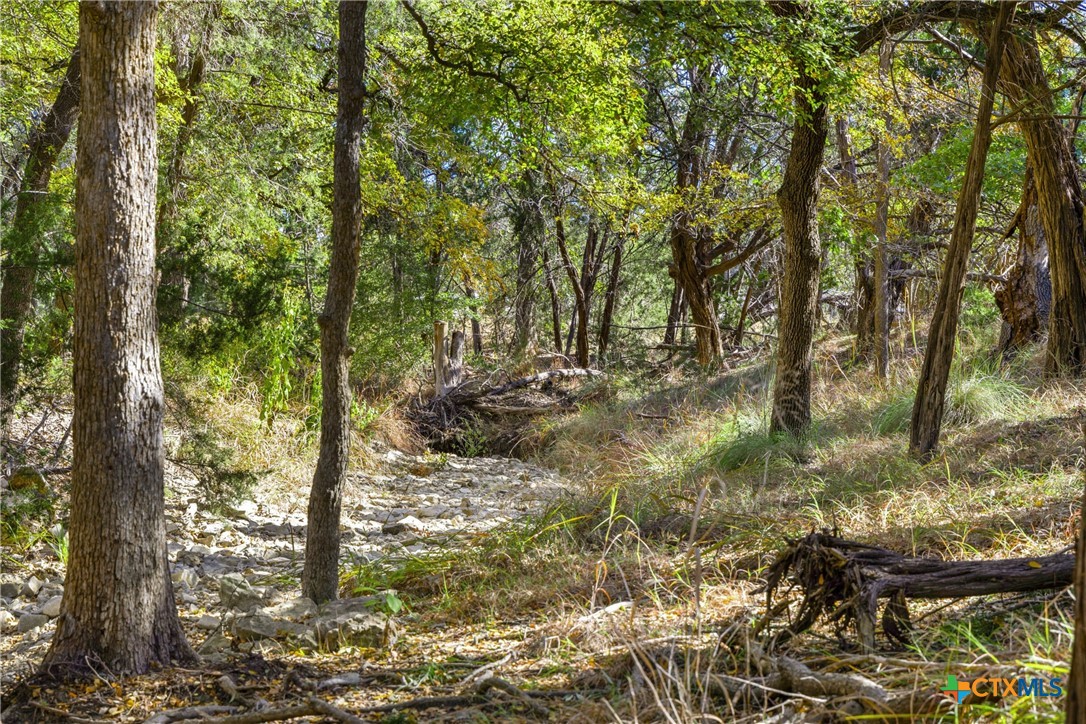 1151 Fawn Valley Drive