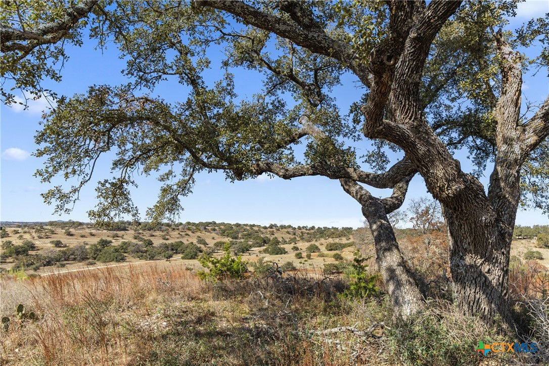 2024 Summit Ridge Trail