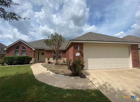 Photo of 5704 Meadow Wood Drive, Temple, TX 76502 (MLS # 614363)