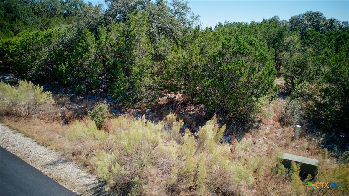 Spring Branch, Texas 78070, United States, ,Land,Active,227120