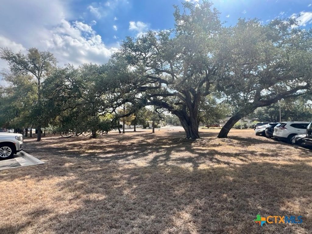 Photo of 310 Stagecoach Trail, San Marcos, TX 78666 (MLS # 602844)