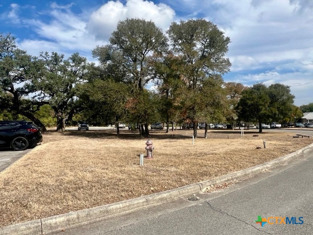 Photo of 310 Stagecoach Trail, San Marcos, TX 78666 (MLS # 602844)