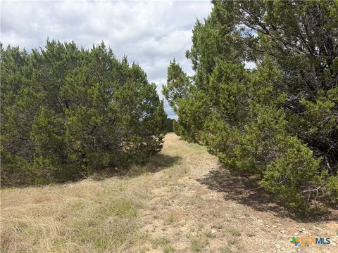 0000 Cr 142 Gatesville TX 76528