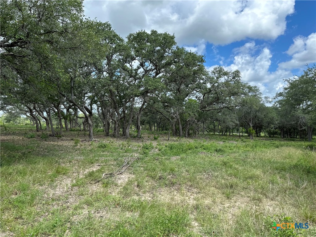 View Goliad, TX 77963 land