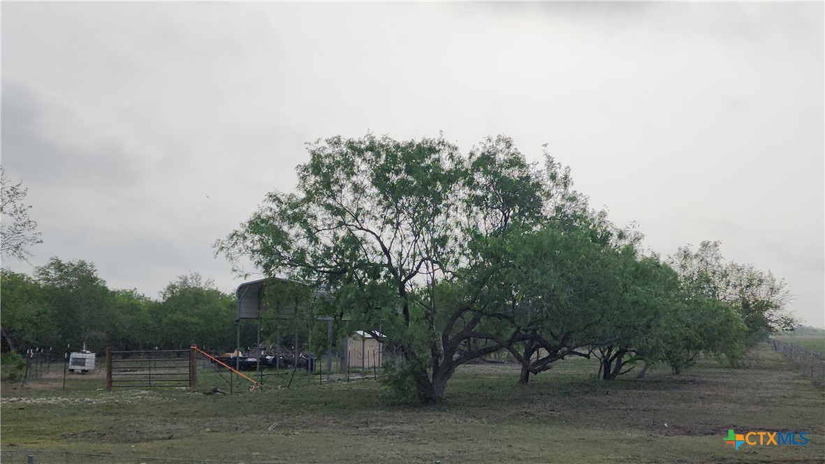 2395 San Antonio River Road