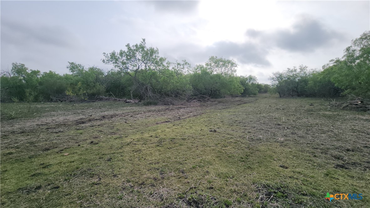 2395 San Antonio River Road