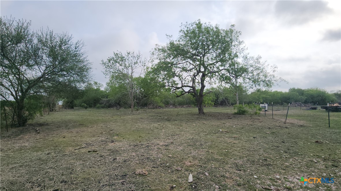 2395 San Antonio River Road