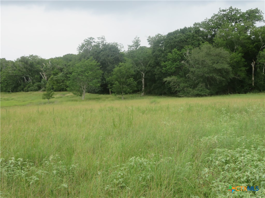 2846 CO RD 18 Lavaca County Tx