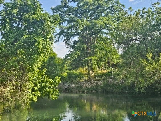 Photo of 263 E Garden Street, New Braunfels, TX 78130 (MLS # 579093)
