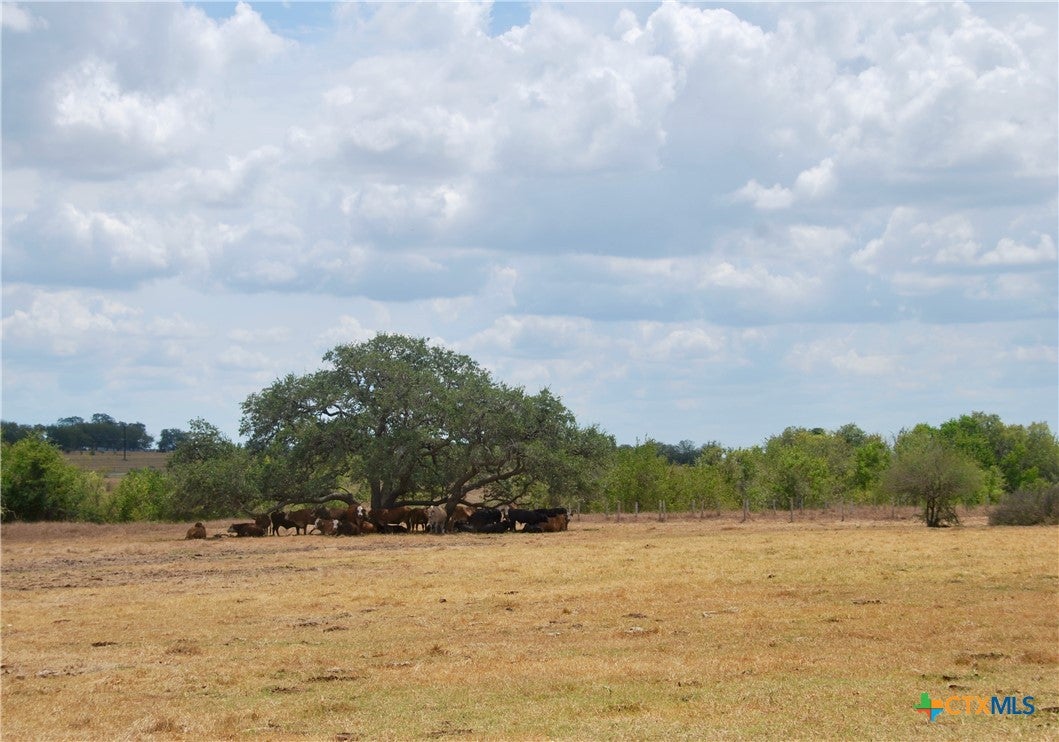 Tract 3 County Road 366
