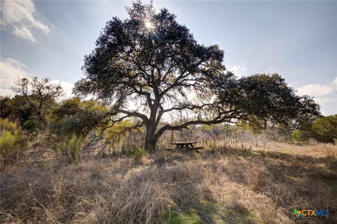 1463 Whispering Woods Trail