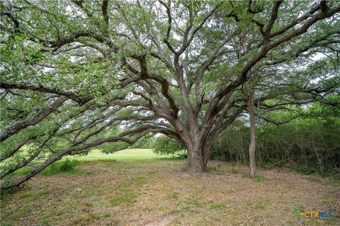 TBD FM 713 Highway Rosanky TX 78953