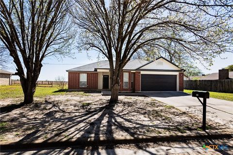 Photo of 809 Steven Street, Troy, TX 76579 (MLS # 607906)